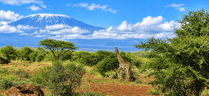7-Day Epic Kenya & Tanzania Safari Experience