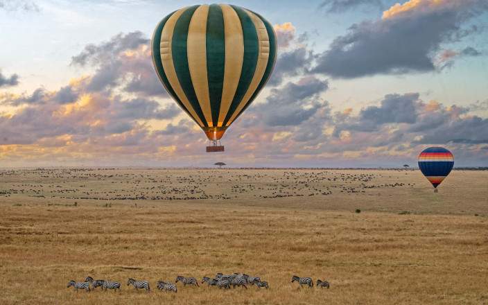 8-Day Signature Journey of Wildlife & Coastal Luxury